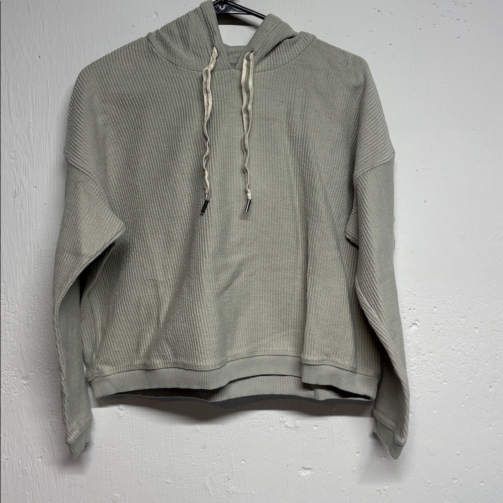 Light Green Aerie Cropped Hoodie